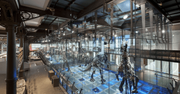 Bruxelles musée des Sciences Naturelles Ixelles