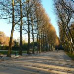Parc Bruxelles