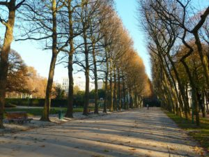 Parc Bruxelles