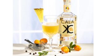 Connaissez-vous le gin Belge BIO: Cala Kumquat? cala Kumcuat meilleur gin Bio Belge