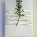 idée emballage cadeau nature