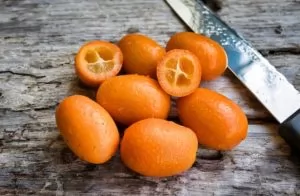 Cala kumquats to belgijski organiczny i rzemieślniczy gin