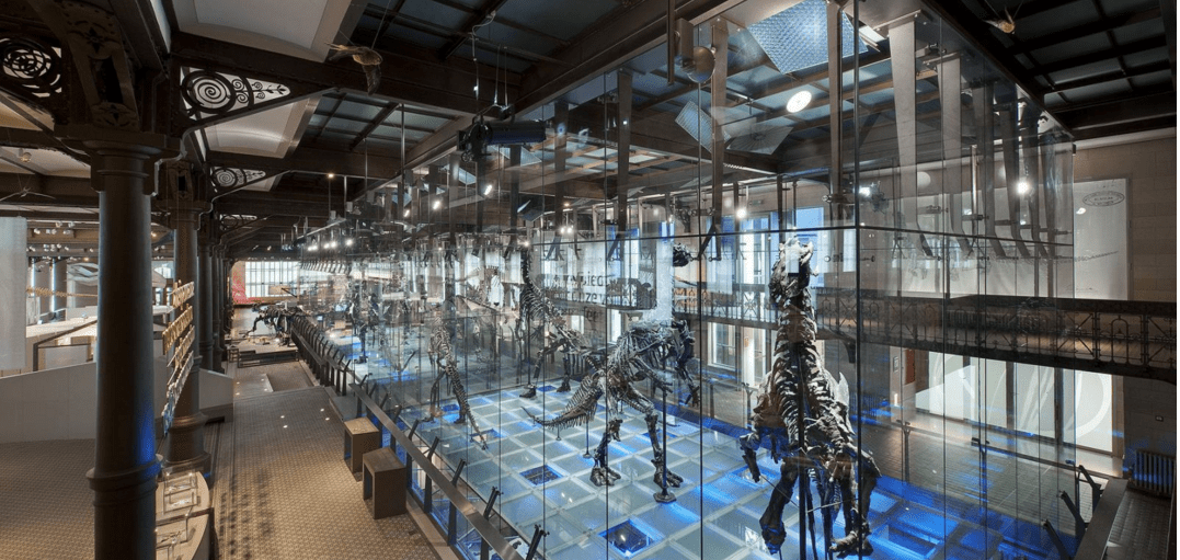 Museo de Ciencias Naturales de Bruselas en Ixelles