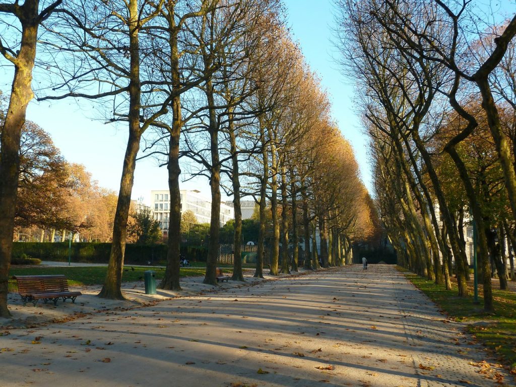 Parc Bruxelles 