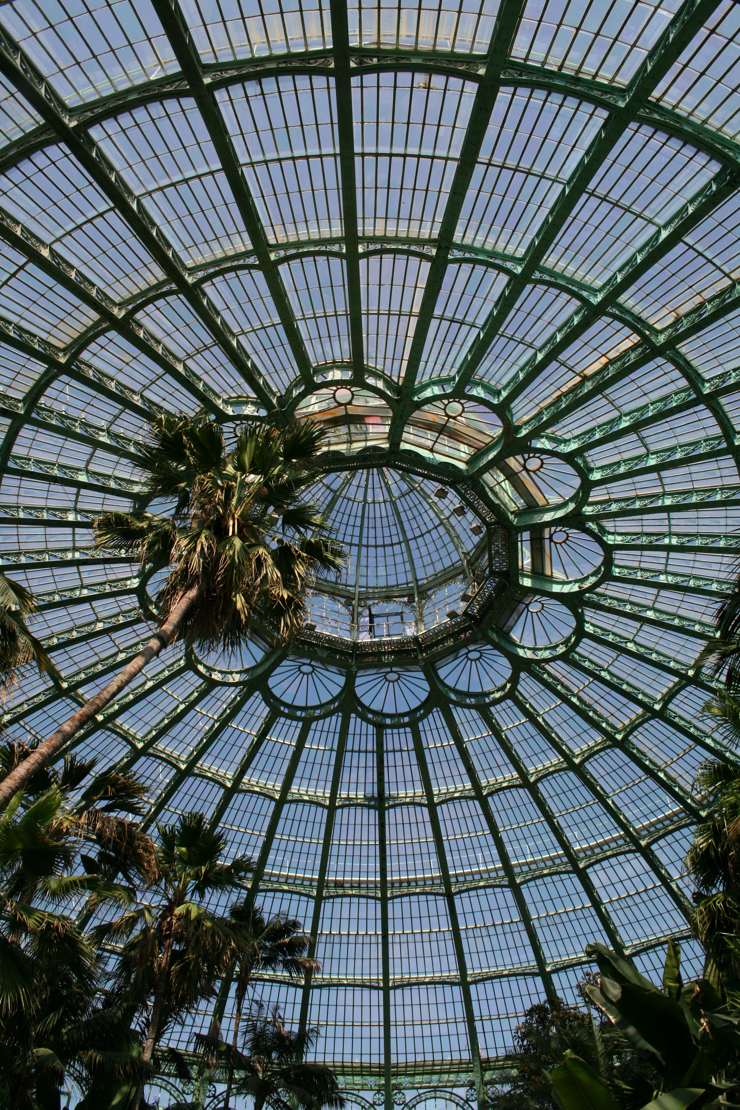 Visita los invernaderos reales de LAEKEN 2024