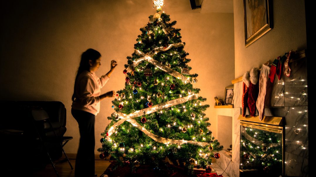 ¿Dónde comprar un árbol de Navidad en Bruselas?