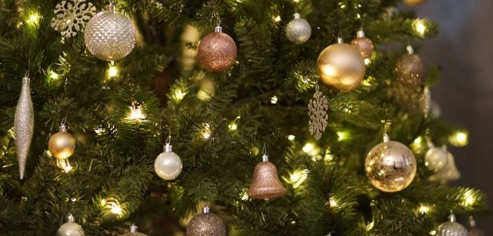 Where to buy a 2020 Christmas tree in Brussels during the covid lockdown