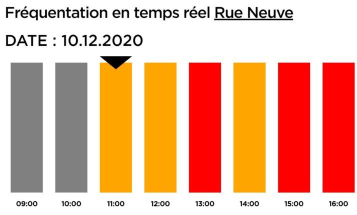 ブリュッセルのRue Neuve…交通量と混雑を示すウェブサイト（COVID）