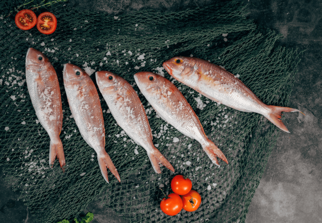 Où manger du poisson à Bruxelles?
