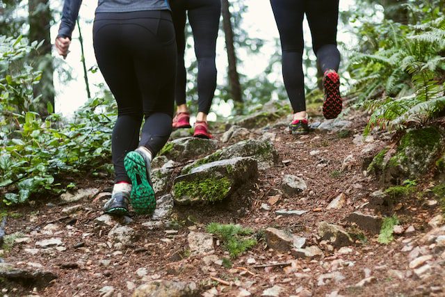 Les millors rutes per córrer a la natura a Brussel·les