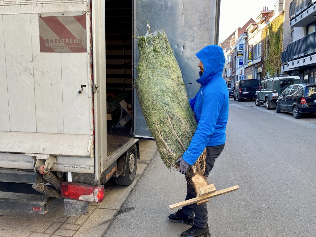 Notre livraison de www.Sapins.be Pour notre Sapin Noel à Bruxelles (c) Pierre Haleux