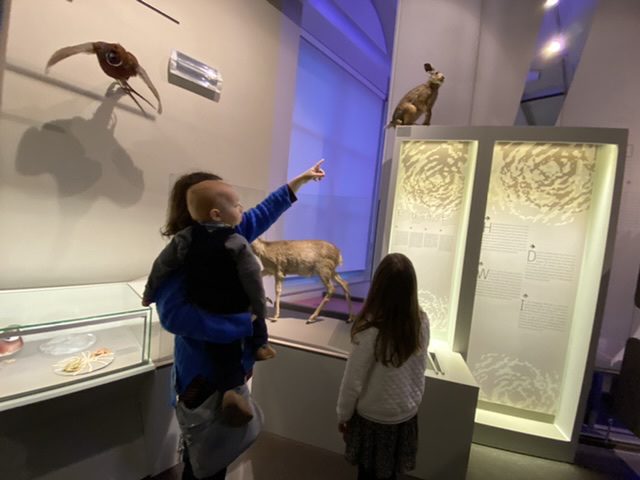 Musée des sciences Naturelles (c) Pierre Halleux