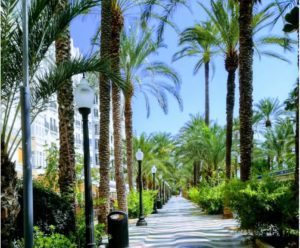 Alicante (c) Unsplash Madalena PIe