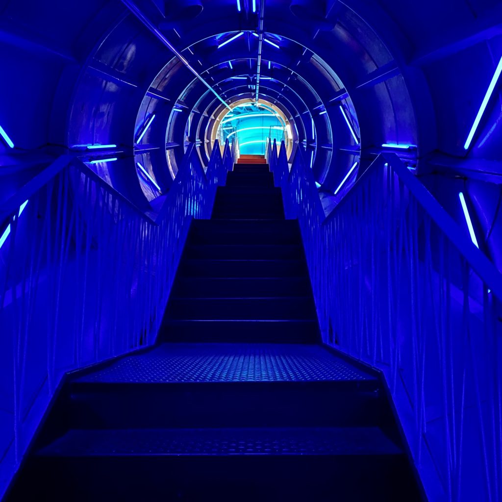 Atomium Bruxelles (c) Pierre Halleuxa