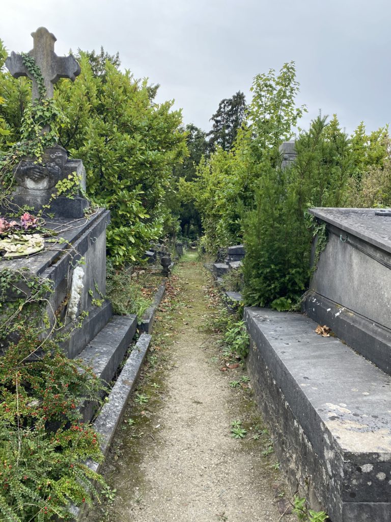 Dieweg