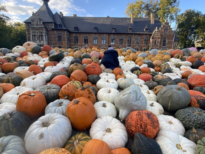 🎃 Où fêter la citrouille à Bruxelles en 2025 ?