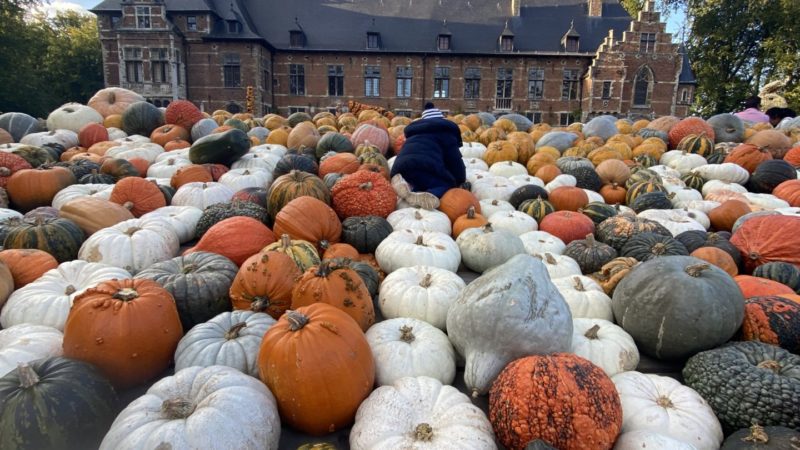🎃 Où fêter la citrouille à Bruxelles en 2025 ?
