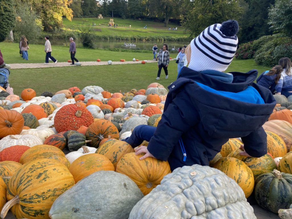 Pumkimania (c) Pierre Halleux, Chateau de Grand-Bigard 2024