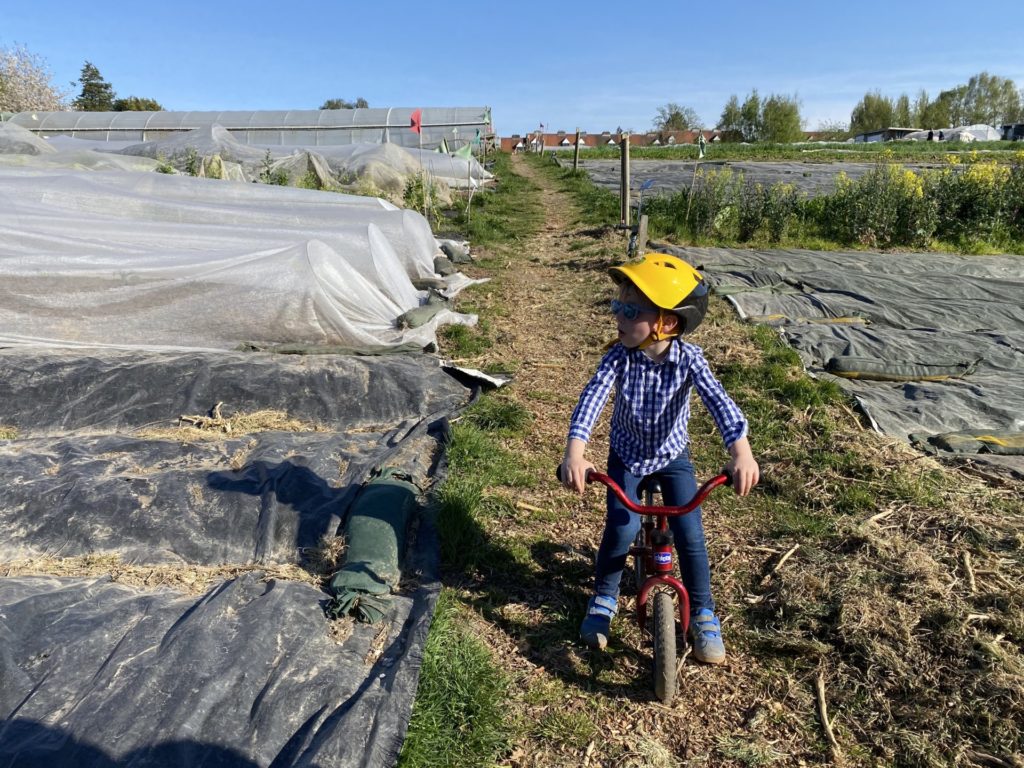 La ferme de chant de caille avec les enfants (c) pierre Halleux