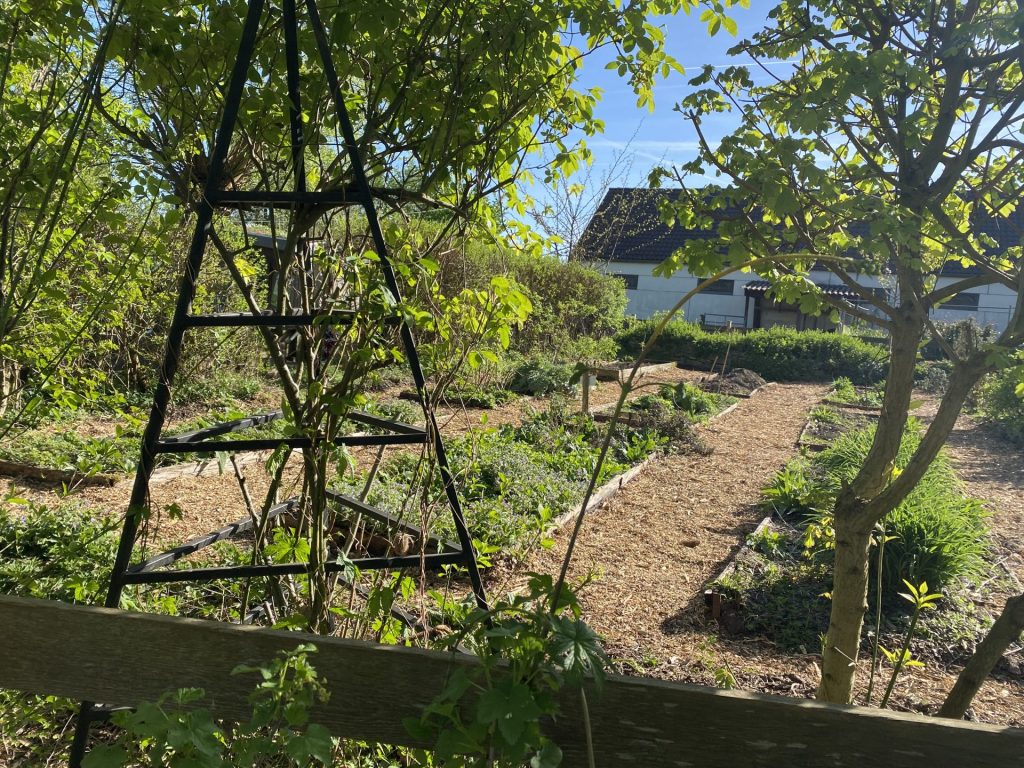 LA ferme de nos Pilifs (c) Pierre Halleux