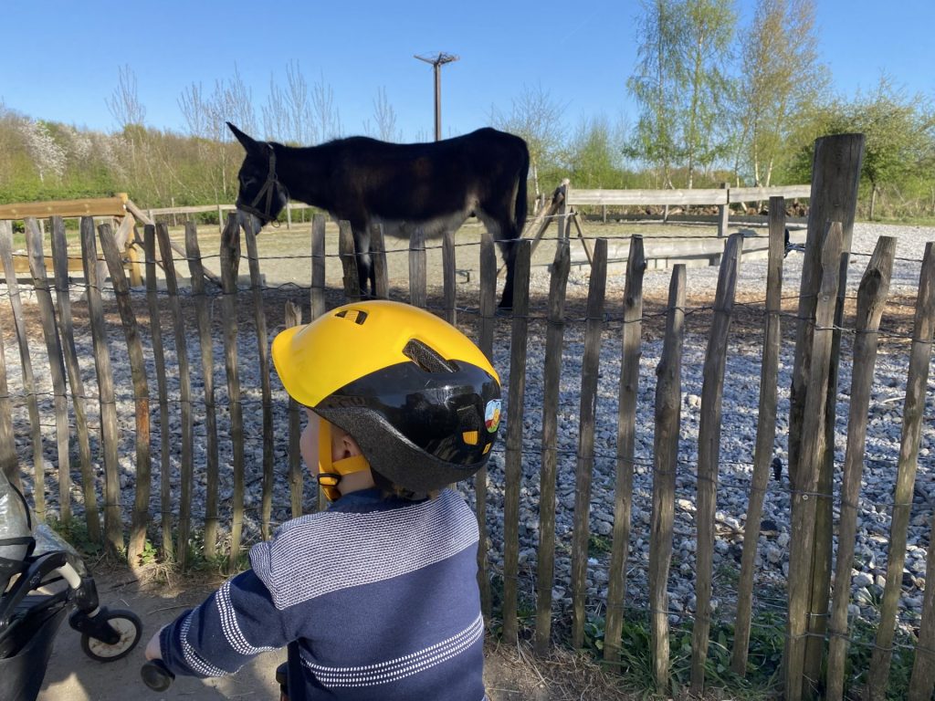LA ferme de nos Pilifs (c) Pierre Halleux