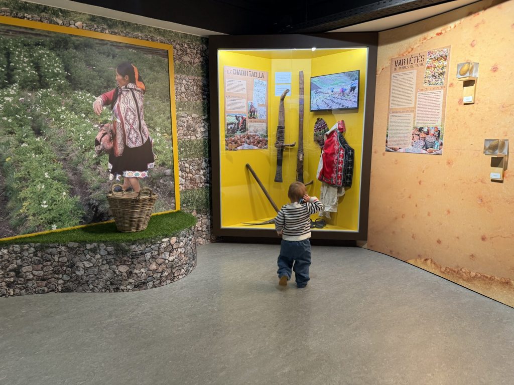 Musée de la frite (c) Pierre Haleux 2025