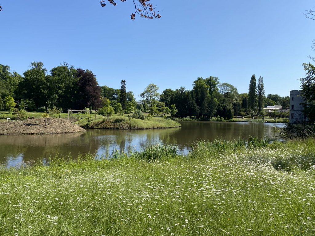 Meise (c) Pierre Halleux