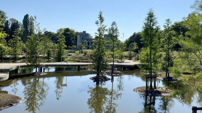 Jardin botanique de Meise : le géant vert de 92 hectares et son château hanté par une impératrice 🌿🏰