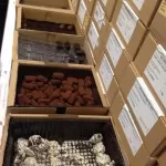 εργοστάσιο σοκολάτας neuhaus