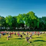 friskis&svettis sport nei parchi di Bruxelles gratis