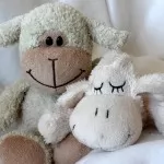 Homestay Brussels