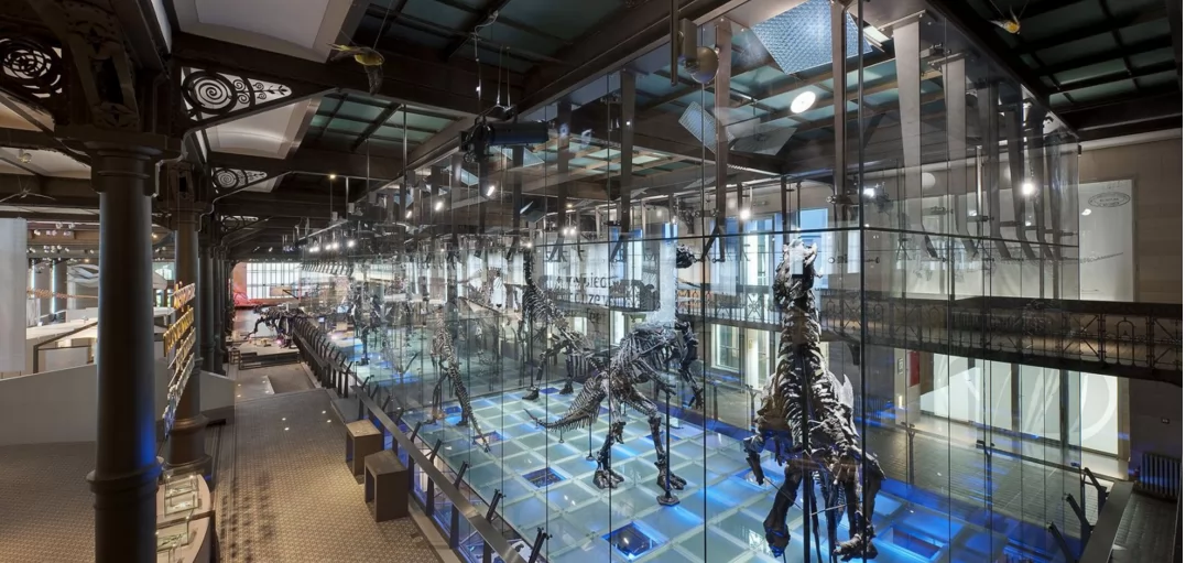 Μουσείο Φυσικών Επιστημών των Βρυξελλών στο Ixelles