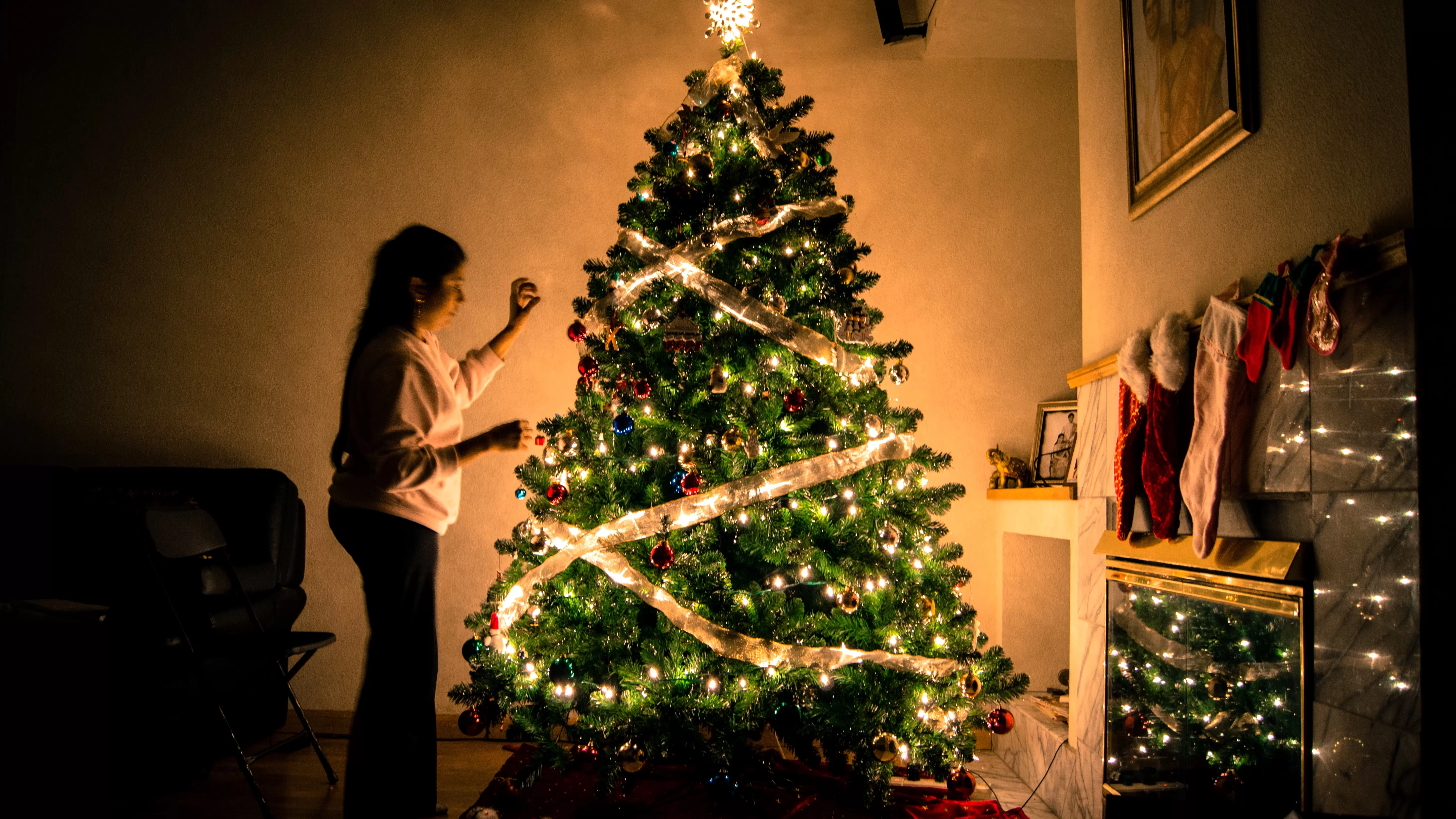 Où acheter un sapin de Noel à Bruxelles ?