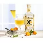 Cala Kumcuat najlepszy belgijski organiczny gin