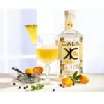 cala Kumcuat miglior gin biologico belga