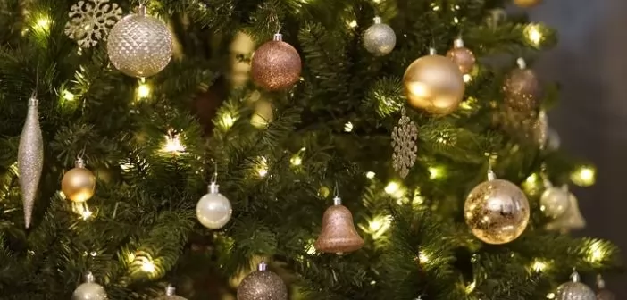 Dove acquistare un albero di Natale 2020 a Bruxelles durante il blocco covid