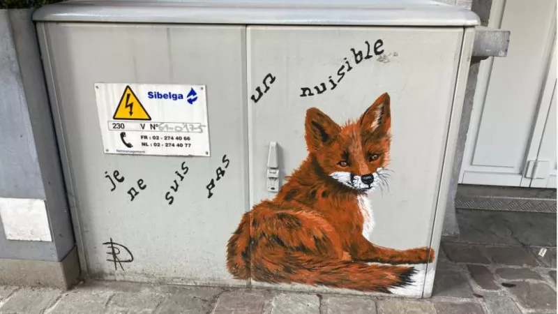 “Je ne suis pas un nuisible” sur les bornes Electriques Sibelga à Bruxelles  -Rose Delhaye