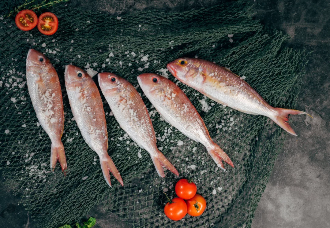 Où manger du poisson à Bruxelles?