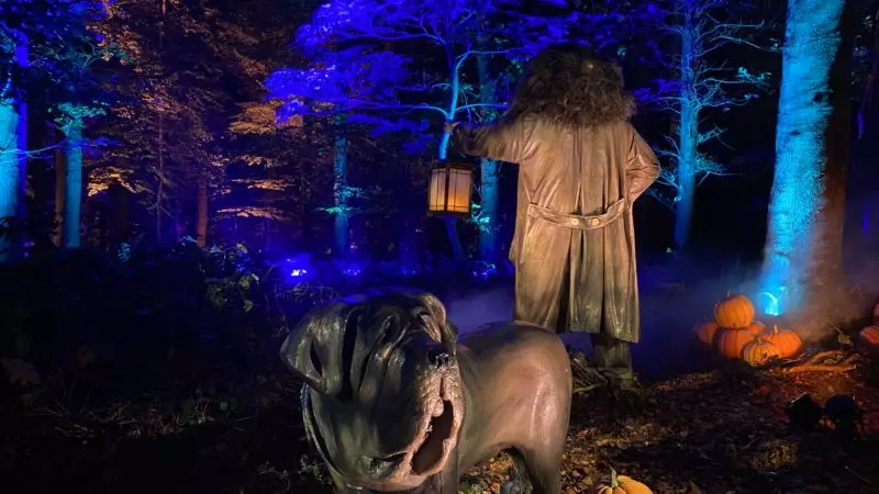 Harry Potter przyjeżdża do Brukseli: nasza opinia o Zakazanym Lesie