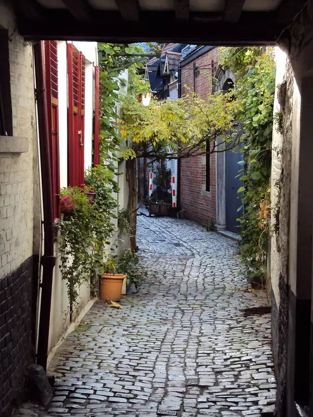 Rue de la Cigogne w Brukseli (c) Zdjęcie Goris Wikicommons
