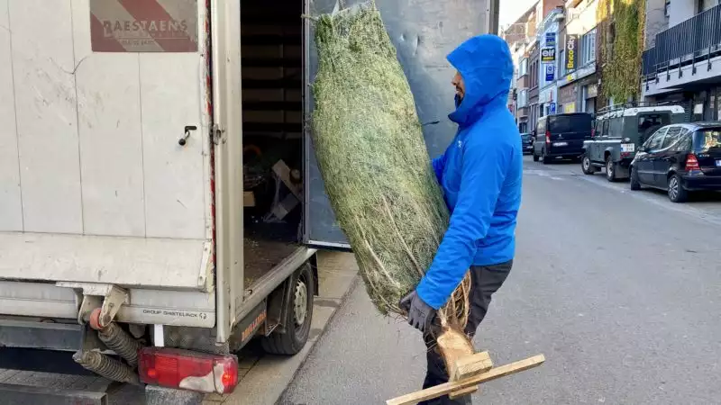 Wo kann man in Brüssel einen Weihnachtsbaum kaufen?